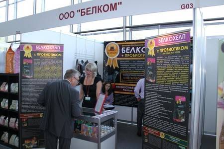 Выставки и  общественно полезные мероприятия